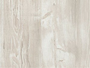 H1401 Cascina Pine