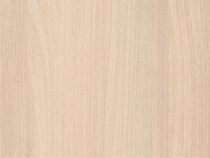 H1277 Light Lakeland Acacia