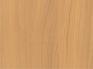 H3662 Venezia Kirsche naturhell