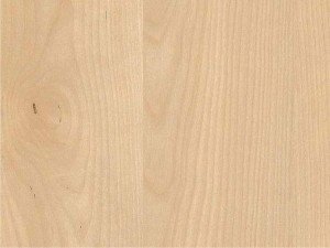 H3840 Natural Mandal Maple
