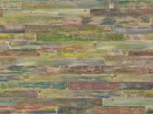 Chipboard Chamelion 0505