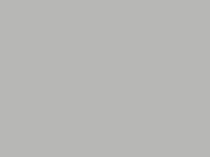 Chipboard Gray 0077
