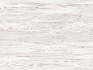 ПДЧ Аляска 0433