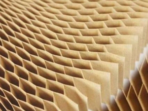Paper filling for doors