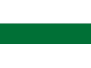 Зелено оксид 9561